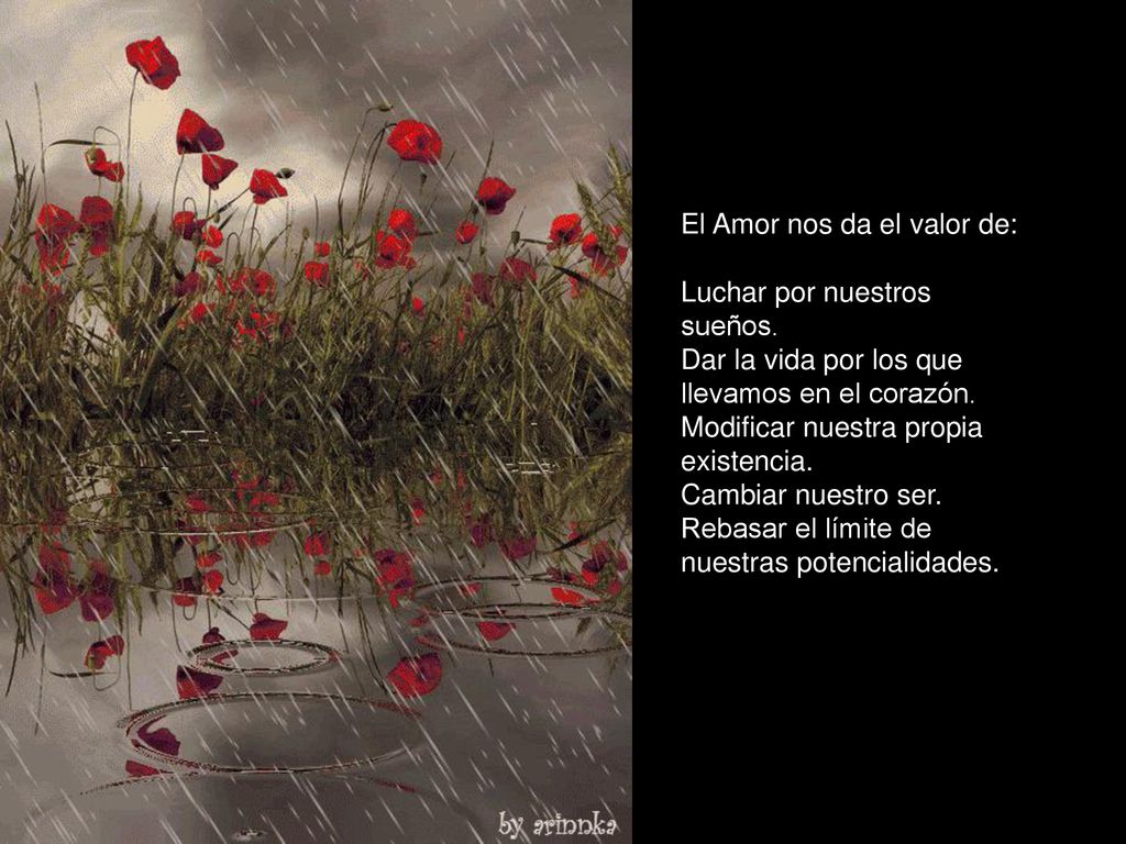 El Amor nos da el valor de: Luchar por nuestros sueños