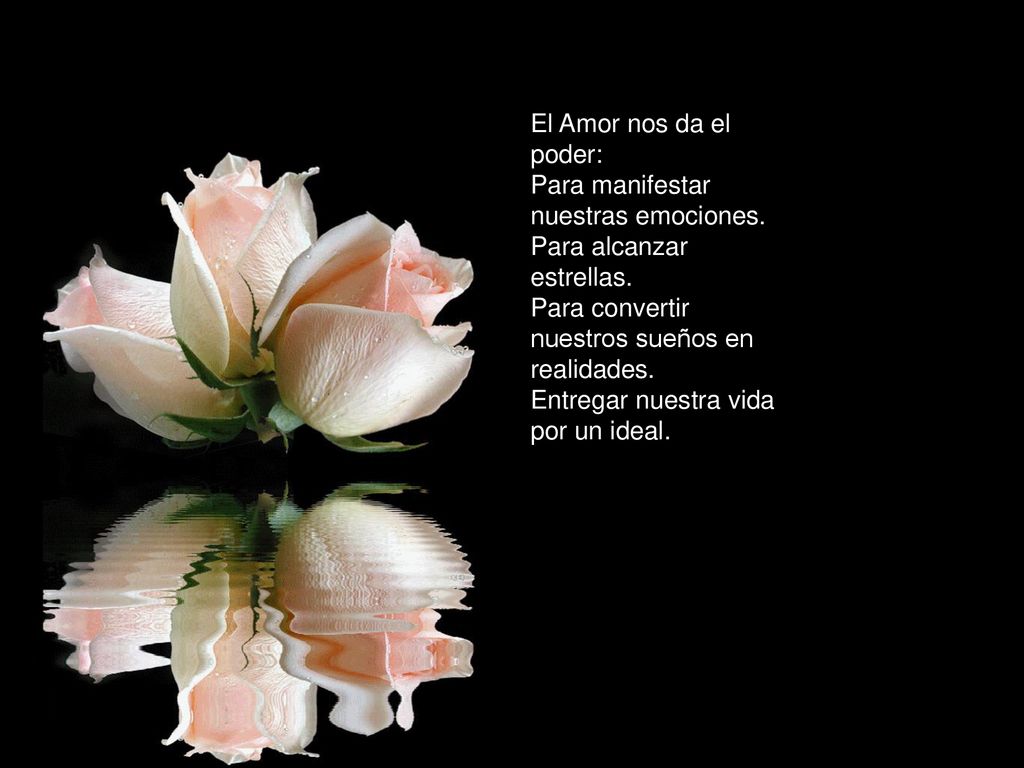 El Amor nos da el poder: Para manifestar nuestras emociones
