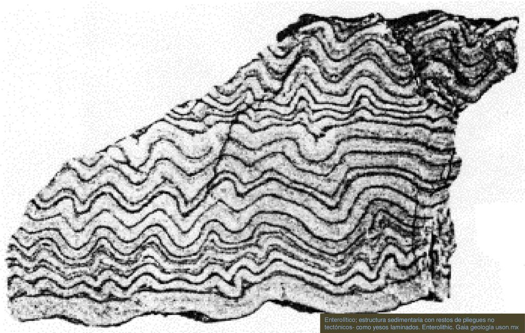Enterolítico; estructura sedimentaria con restos de pliegues no tectónicos- como yesos laminados. Enterolithic. Gaia geologia uson.mx
