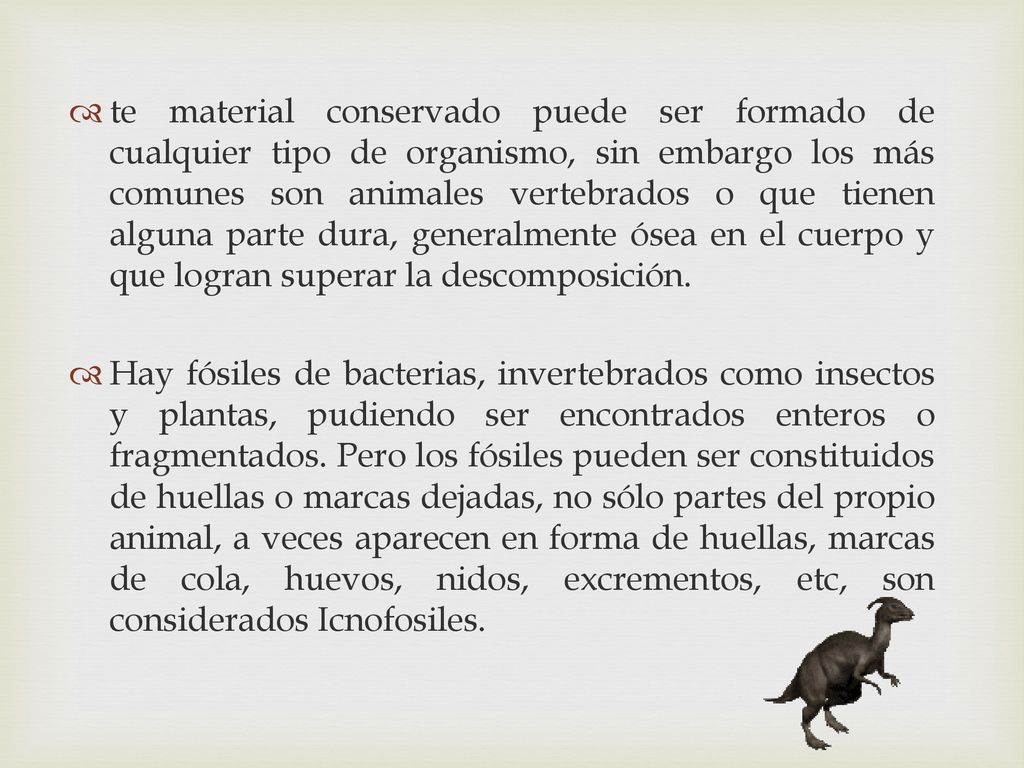 te material conservado puede ser formado de cualquier tipo de organismo, sin embargo los más comunes son animales vertebrados o que tienen alguna parte dura, generalmente ósea en el cuerpo y que logran superar la descomposición.