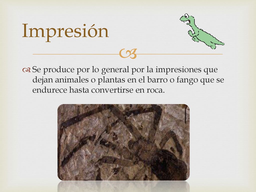 Impresión Se produce por lo general por la impresiones que dejan animales o plantas en el barro o fango que se endurece hasta convertirse en roca.