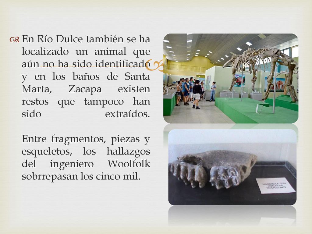 En Río Dulce también se ha localizado un animal que aún no ha sido identificado y en los baños de Santa Marta, Zacapa existen restos que tampoco han sido extraídos.