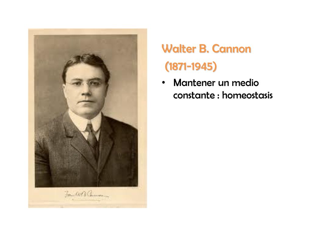 Walter B. Cannon ( ) Mantener un medio constante : homeostasis