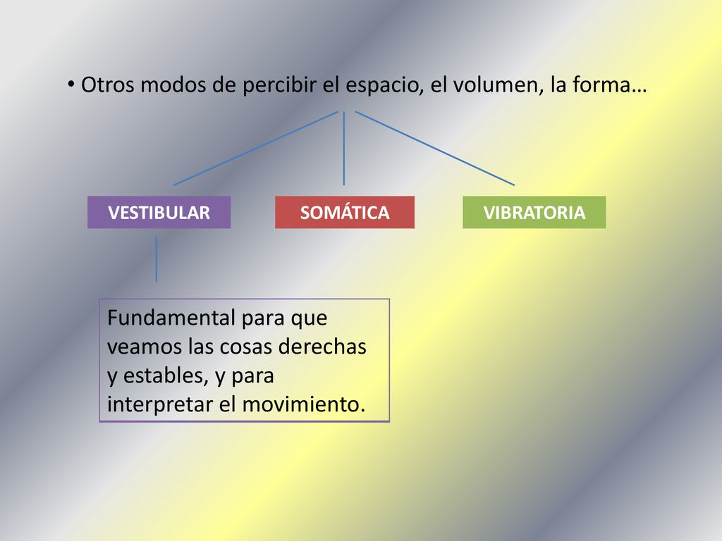 Otros modos de percibir el espacio, el volumen, la forma…
