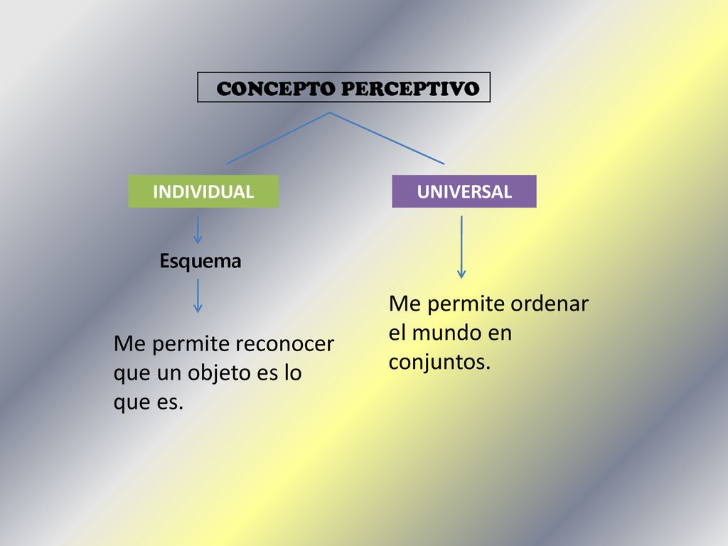 Me permite ordenar el mundo en conjuntos.