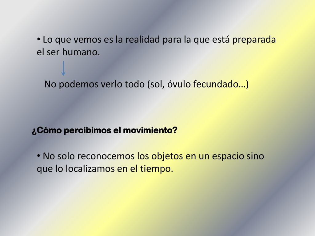 Lo que vemos es la realidad para la que está preparada el ser humano.