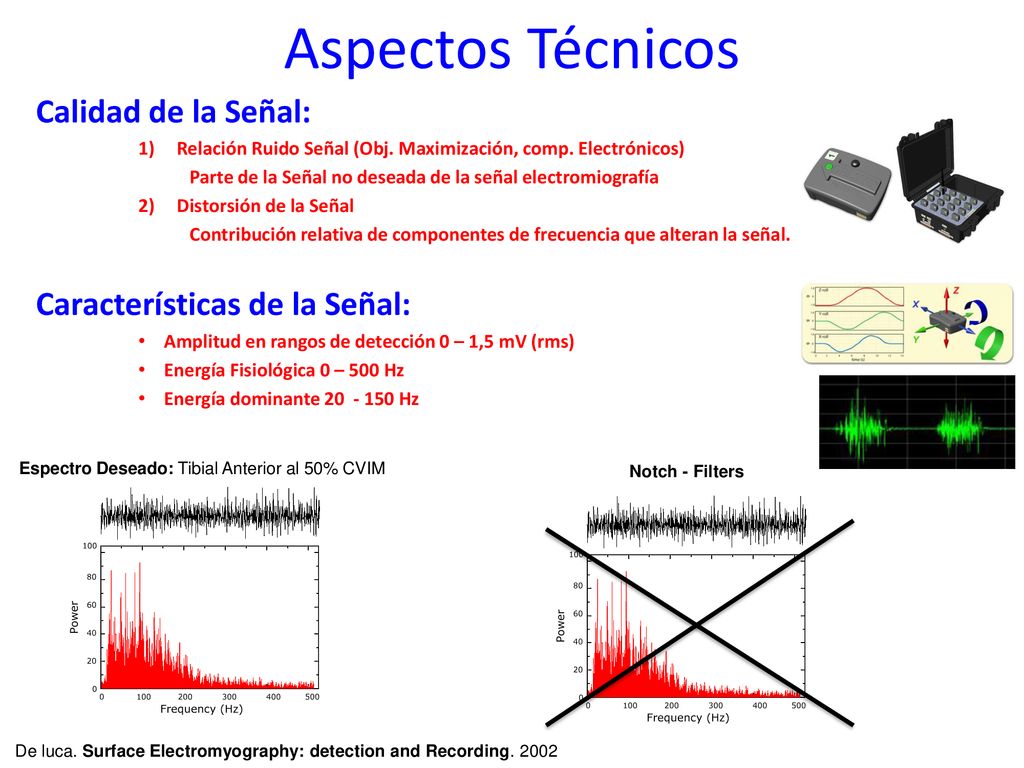 De luca. Surface Electromyography: detection and Recording. 2002
