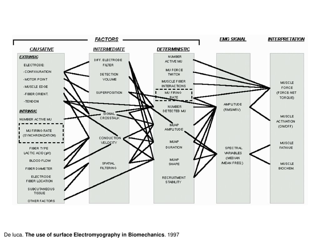 De luca. The use of surface Electromyography in Biomechanics. 1997