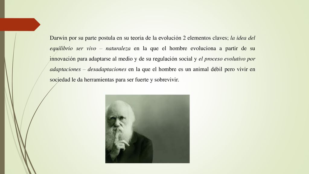 Darwin por su parte postula en su teoría de la evolución 2 elementos claves; la idea del equilibrio ser vivo – naturaleza en la que el hombre evoluciona a partir de su innovación para adaptarse al medio y de su regulación social y el proceso evolutivo por adaptaciones – desadaptaciones en la que el hombre es un animal débil pero vivir en sociedad le da herramientas para ser fuerte y sobrevivir.