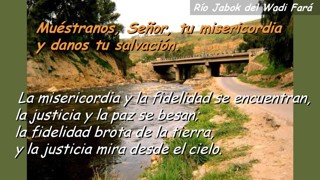 Muéstranos, Señor, tu misericordia y danos tu salvación.