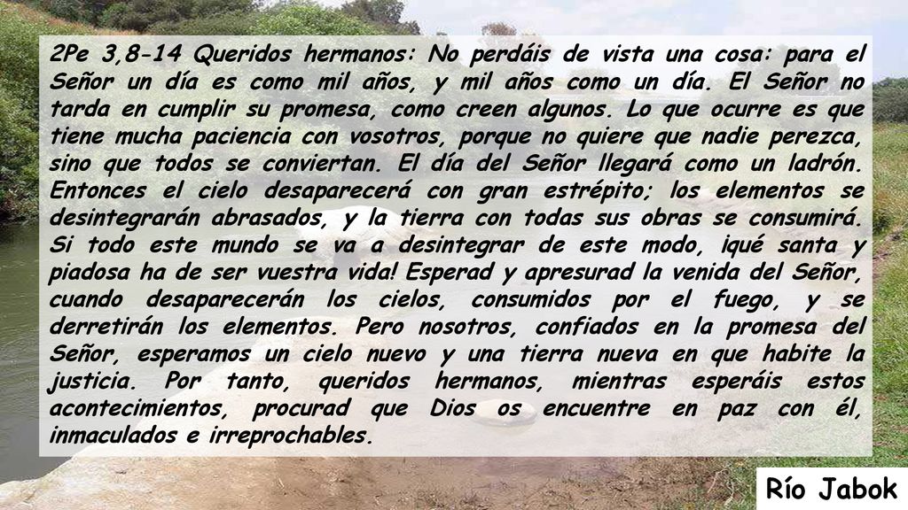 2Pe 3,8-14 Queridos hermanos: No perdáis de vista una cosa: para el Señor un día es como mil años, y mil años como un día. El Señor no tarda en cumplir su promesa, como creen algunos. Lo que ocurre es que tiene mucha paciencia con vosotros, porque no quiere que nadie perezca, sino que todos se conviertan. El día del Señor llegará como un ladrón. Entonces el cielo desaparecerá con gran estrépito; los elementos se desintegrarán abrasados, y la tierra con todas sus obras se consumirá. Si todo este mundo se va a desintegrar de este modo, ¡qué santa y piadosa ha de ser vuestra vida! Esperad y apresurad la venida del Señor, cuando desaparecerán los cielos, consumidos por el fuego, y se derretirán los elementos. Pero nosotros, confiados en la promesa del Señor, esperamos un cielo nuevo y una tierra nueva en que habite la justicia. Por tanto, queridos hermanos, mientras esperáis estos acontecimientos, procurad que Dios os encuentre en paz con él, inmaculados e irreprochables.