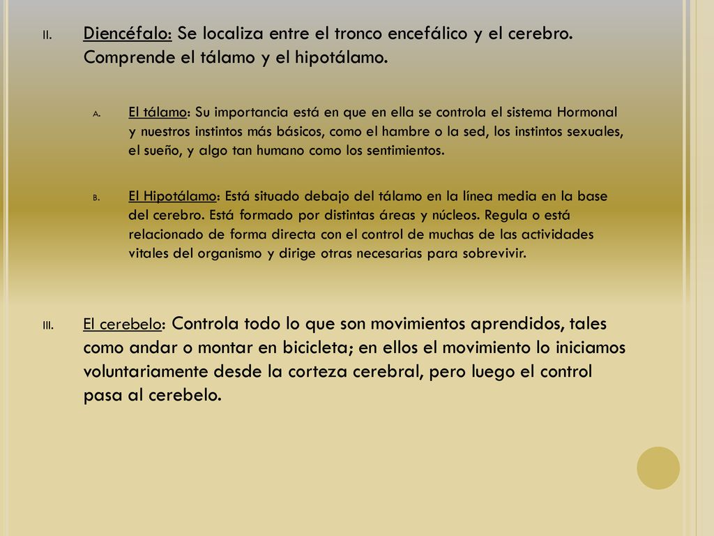 Diencéfalo: Se localiza entre el tronco encefálico y el cerebro