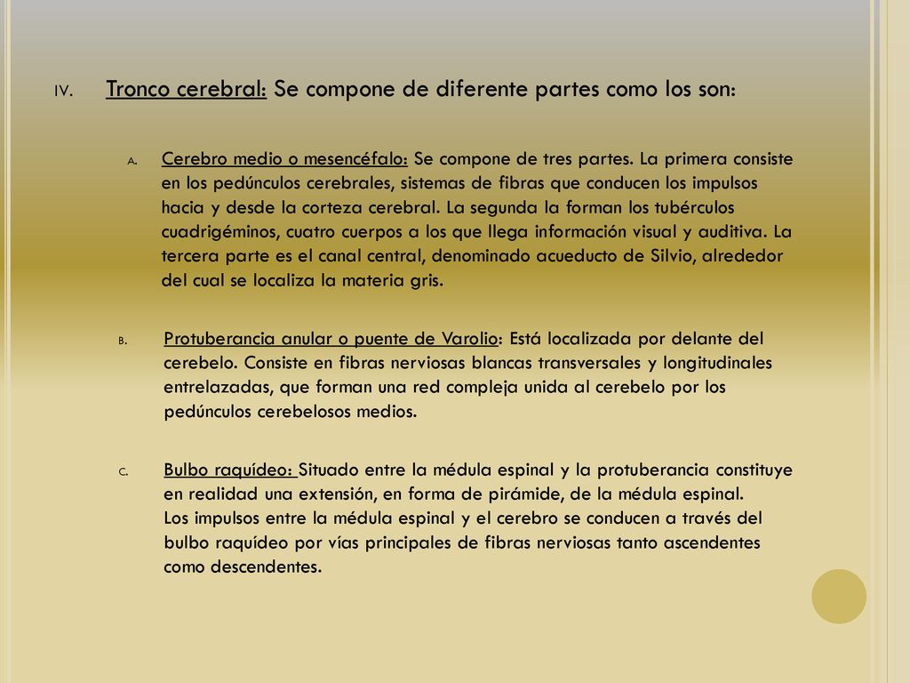 Tronco cerebral: Se compone de diferente partes como los son:
