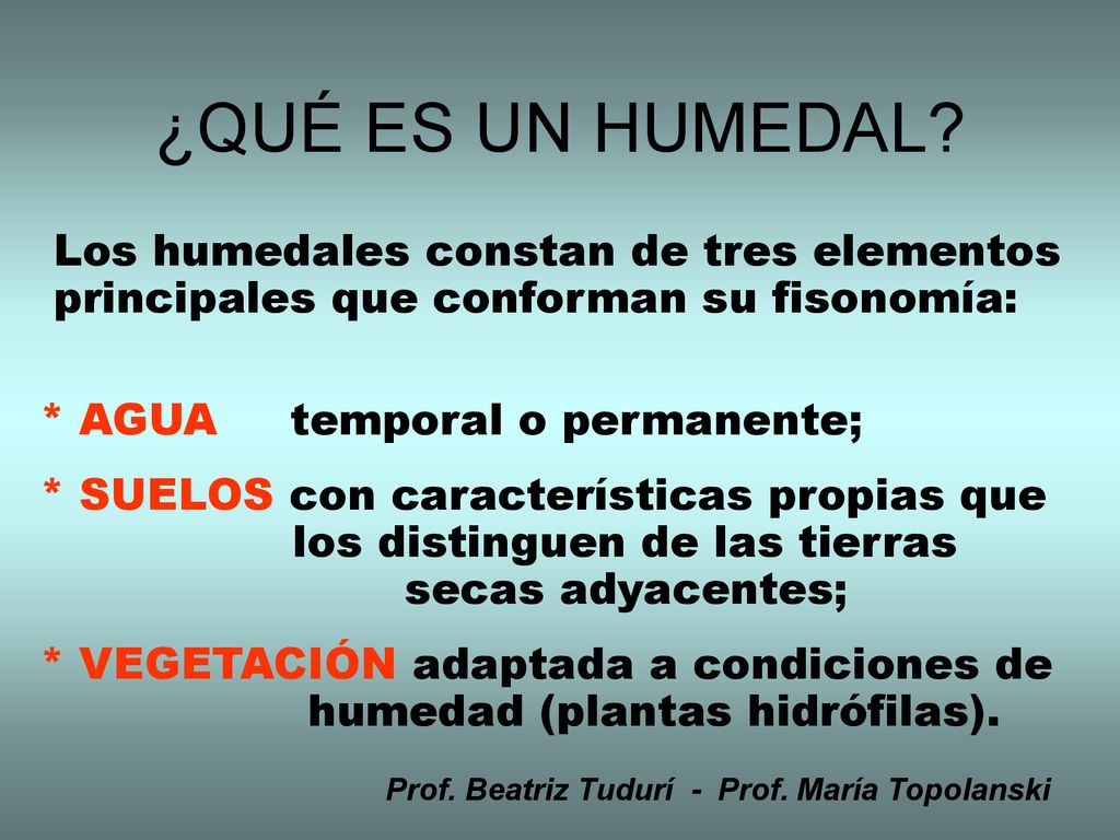 ¿QUÉ ES UN HUMEDAL Los humedales constan de tres elementos principales que conforman su fisonomía: