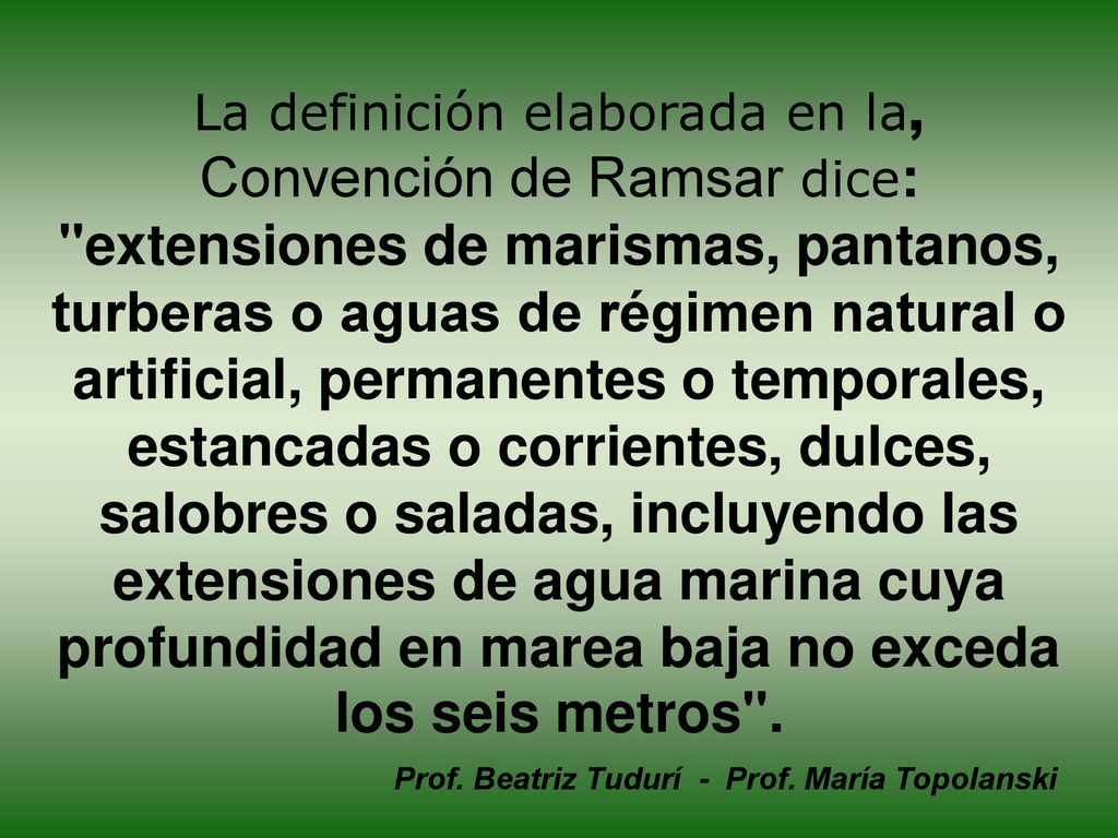La definición elaborada en la, Convención de Ramsar dice: extensiones de marismas, pantanos, turberas o aguas de régimen natural o artificial, permanentes o temporales, estancadas o corrientes, dulces, salobres o saladas, incluyendo las extensiones de agua marina cuya profundidad en marea baja no exceda los seis metros .