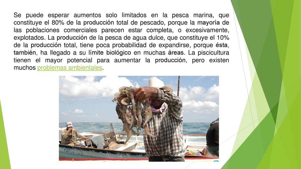 Se puede esperar aumentos solo limitados en la pesca marina, que constituye el 80% de la producción total de pescado, porque la mayoría de las poblaciones comerciales parecen estar completa, o excesivamente, explotados.
