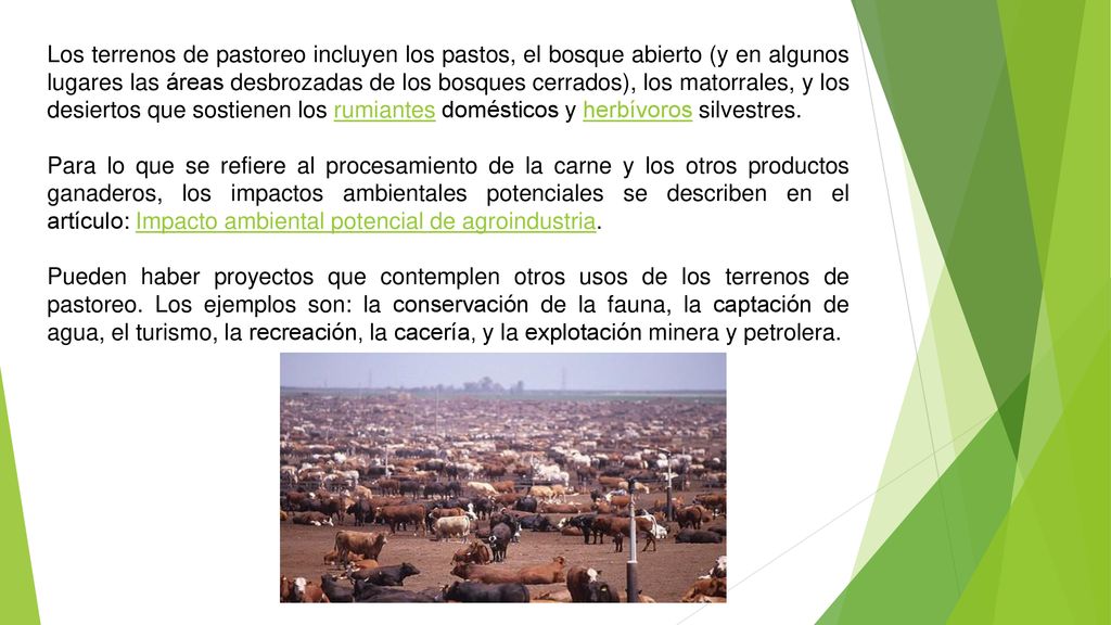 Los terrenos de pastoreo incluyen los pastos, el bosque abierto (y en algunos lugares las áreas desbrozadas de los bosques cerrados), los matorrales, y los desiertos que sostienen los rumiantes domésticos y herbívoros silvestres.