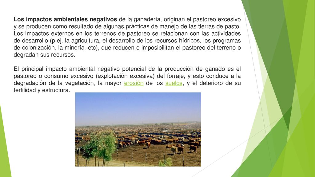 Los impactos ambientales negativos de la ganadería, originan el pastoreo excesivo y se producen como resultado de algunas prácticas de manejo de las tierras de pasto. Los impactos externos en los terrenos de pastoreo se relacionan con las actividades de desarrollo (p.ej. la agricultura, el desarrollo de los recursos hídricos, los programas de colonización, la minería, etc), que reducen o imposibilitan el pastoreo del terreno o degradan sus recursos.