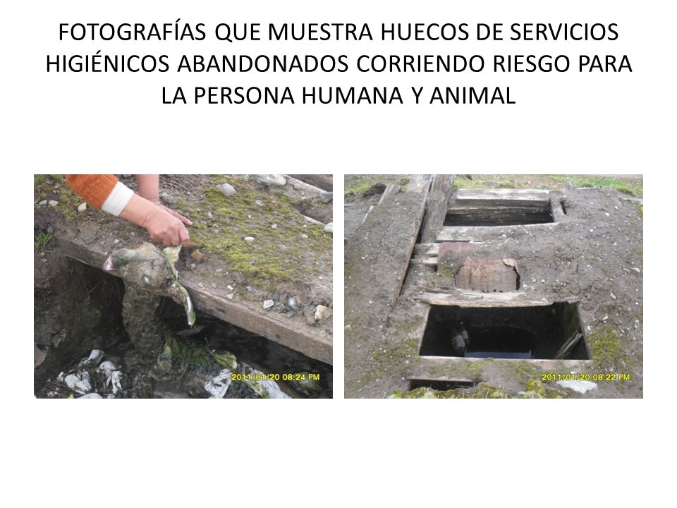 FOTOGRAFÍAS QUE MUESTRA HUECOS DE SERVICIOS HIGIÉNICOS ABANDONADOS CORRIENDO RIESGO PARA LA PERSONA HUMANA Y ANIMAL