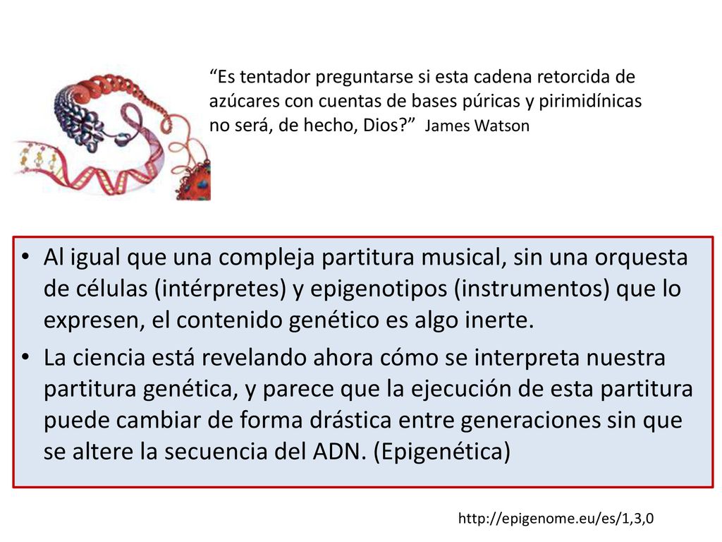 Es tentador preguntarse si esta cadena retorcida de azúcares con cuentas de bases púricas y pirimidínicas no será, de hecho, Dios James Watson
