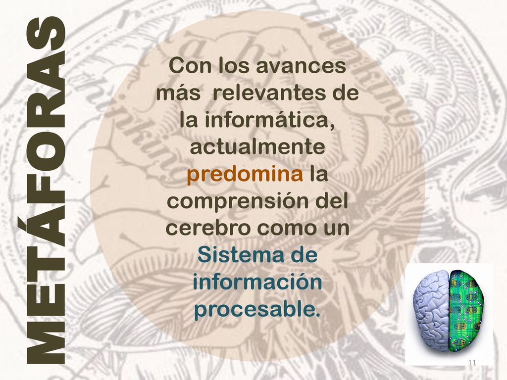 Con los avances más relevantes de la informática, actualmente predomina la comprensión del cerebro como un Sistema de información procesable.