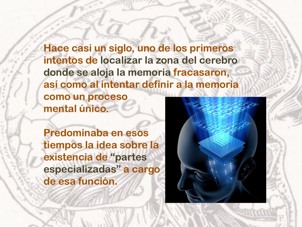 Hace casi un siglo, uno de los primeros intentos de localizar la zona del cerebro donde se aloja la memoria fracasaron,