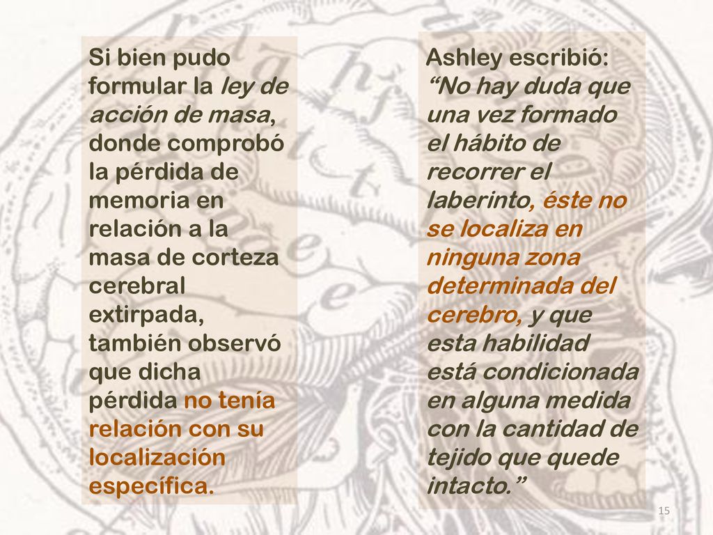 Ashley escribió: No hay duda que una vez formado el hábito de recorrer el laberinto, éste no se localiza en ninguna zona determinada del cerebro, y que esta habilidad está condicionada en alguna medida con la cantidad de tejido que quede intacto.