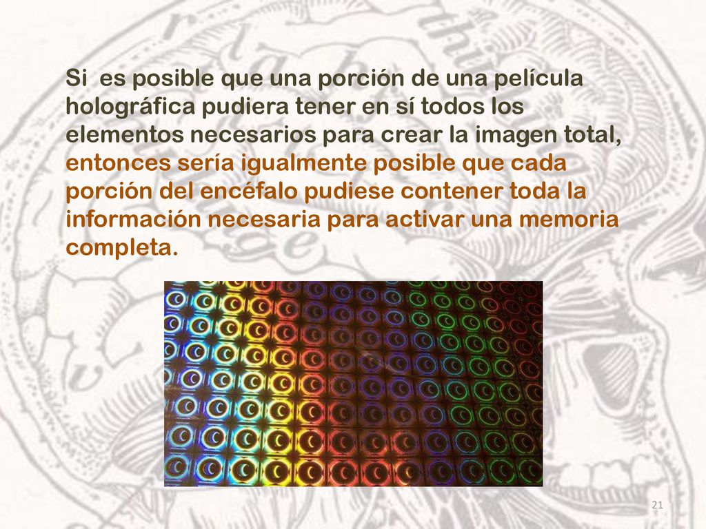 Si es posible que una porción de una película holográfica pudiera tener en sí todos los elementos necesarios para crear la imagen total, entonces sería igualmente posible que cada porción del encéfalo pudiese contener toda la información necesaria para activar una memoria completa.