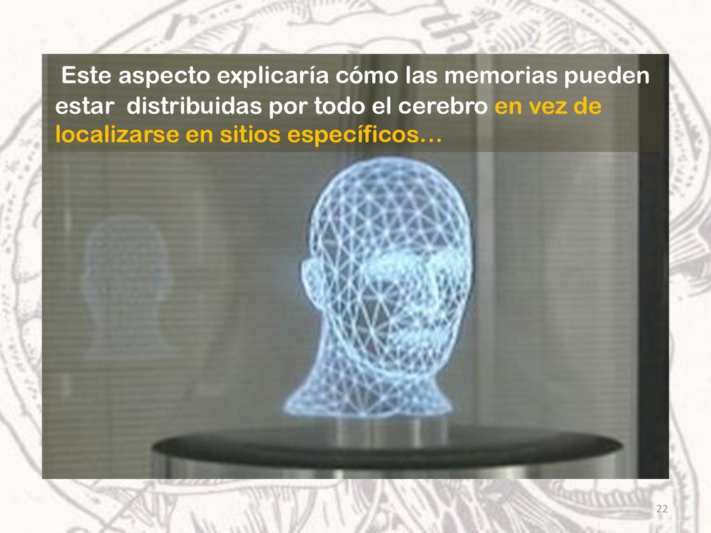 Este aspecto explicaría cómo las memorias pueden estar distribuidas por todo el cerebro en vez de localizarse en sitios específicos…