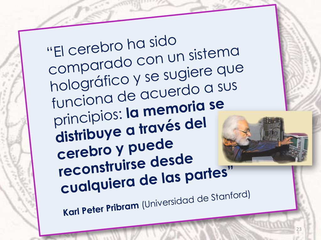 El cerebro ha sido comparado con un sistema holográfico y se sugiere que funciona de acuerdo a sus principios: la memoria se distribuye a través del cerebro y puede reconstruirse desde cualquiera de las partes