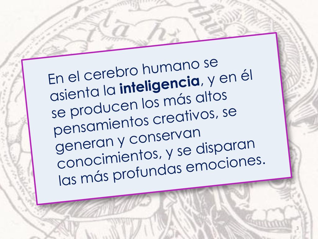 En el cerebro humano se asienta la inteligencia, y en él se producen los más altos pensamientos creativos, se generan y conservan conocimientos, y se disparan las más profundas emociones.