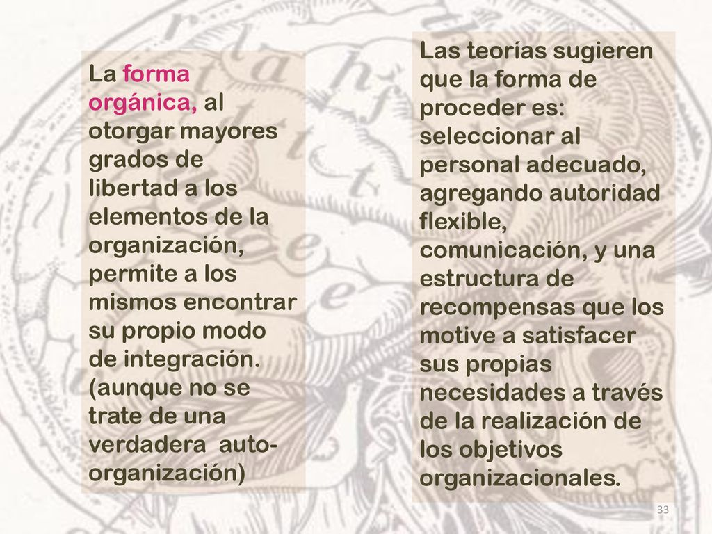Las teorías sugieren que la forma de proceder es: seleccionar al personal adecuado, agregando autoridad flexible, comunicación, y una estructura de recompensas que los motive a satisfacer sus propias necesidades a través de la realización de los objetivos organizacionales.