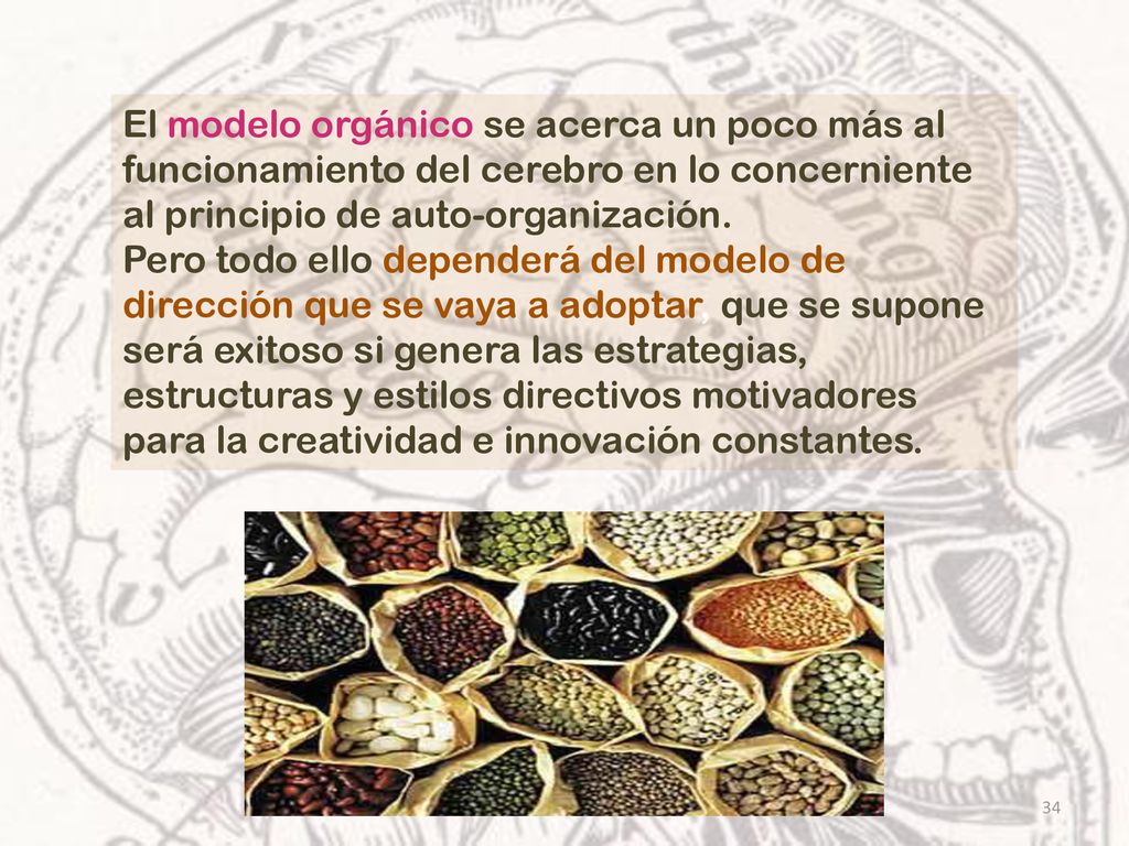 El modelo orgánico se acerca un poco más al funcionamiento del cerebro en lo concerniente al principio de auto-organización.