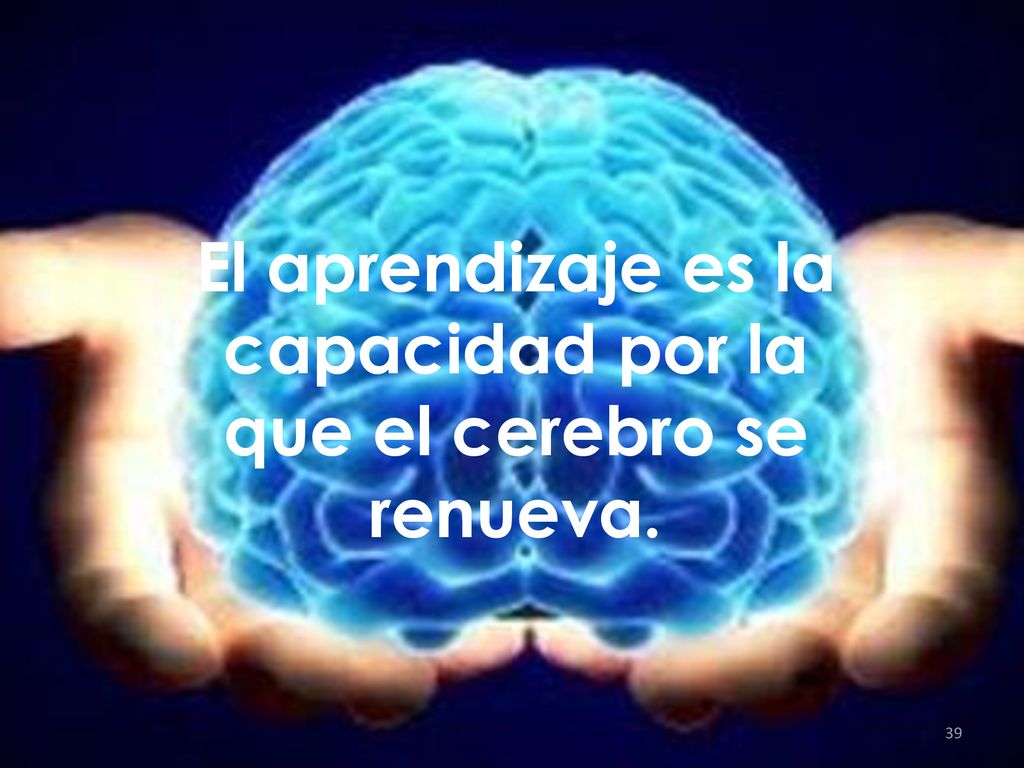 El aprendizaje es la capacidad por la que el cerebro se renueva.