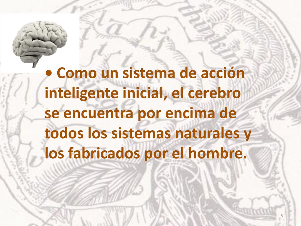 • Como un sistema de acción inteligente inicial, el cerebro se encuentra por encima de todos los sistemas naturales y los fabricados por el hombre.