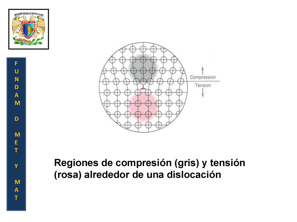F U N D A M E T Y Regiones de compresión (gris) y tensión (rosa) alrededor de una dislocación