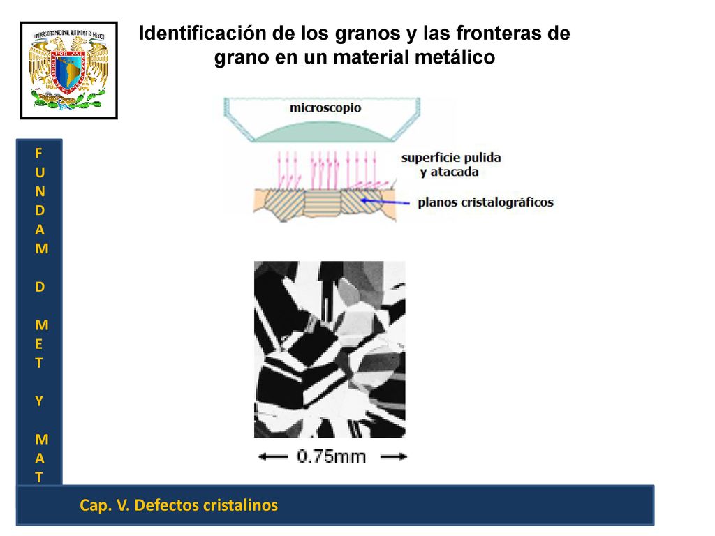 Identificación de los granos y las fronteras de grano en un material metálico