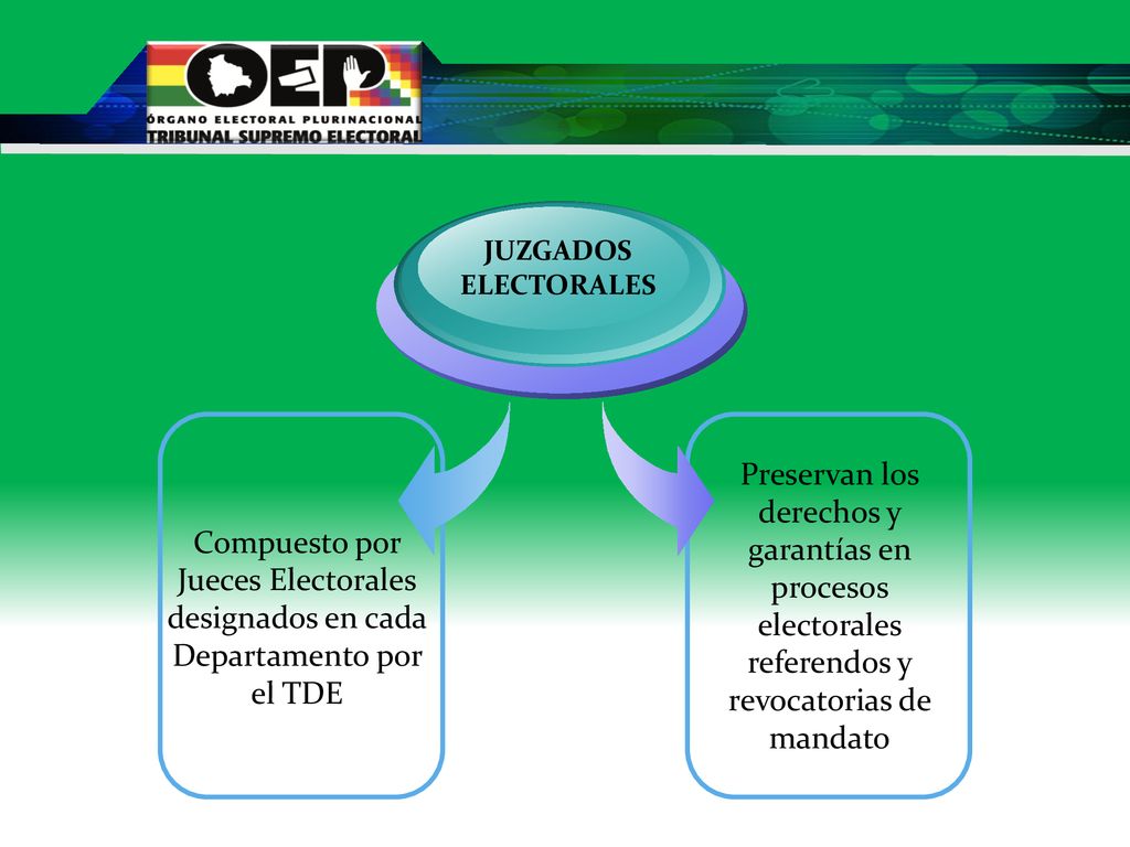 JUZGADOS ELECTORALES Preservan los derechos y garantías en procesos electorales referendos y revocatorias de mandato.