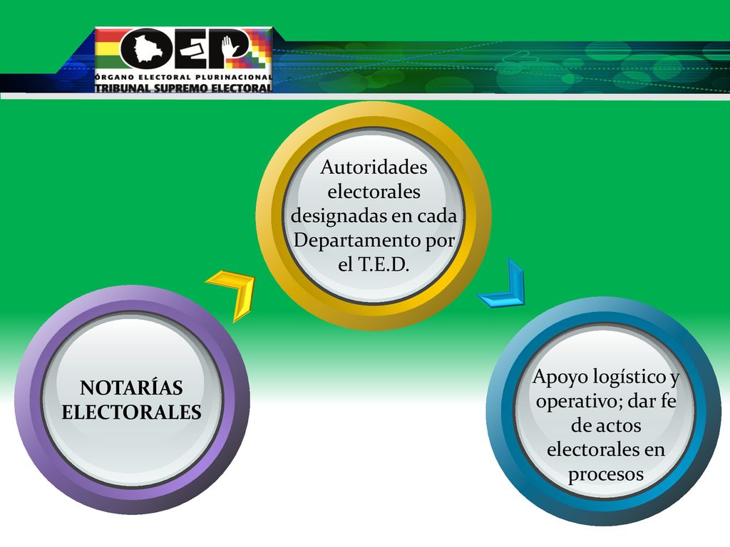 Autoridades electorales designadas en cada Departamento por el T.E.D.