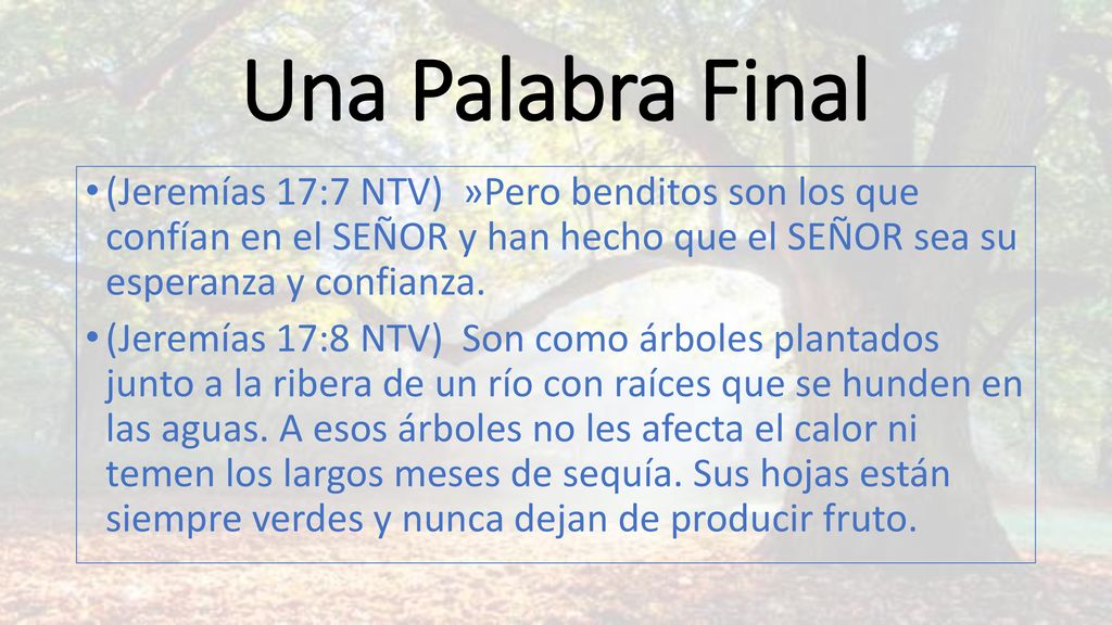 Una Palabra Final (Jeremías 17:7 NTV) »Pero benditos son los que confían en el SEÑOR y han hecho que el SEÑOR sea su esperanza y confianza.