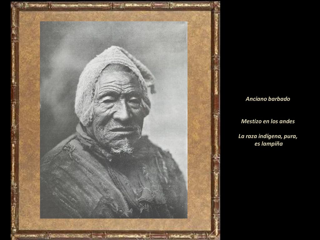Anciano barbado Mestizo en los andes La raza indígena, pura, es lampiña
