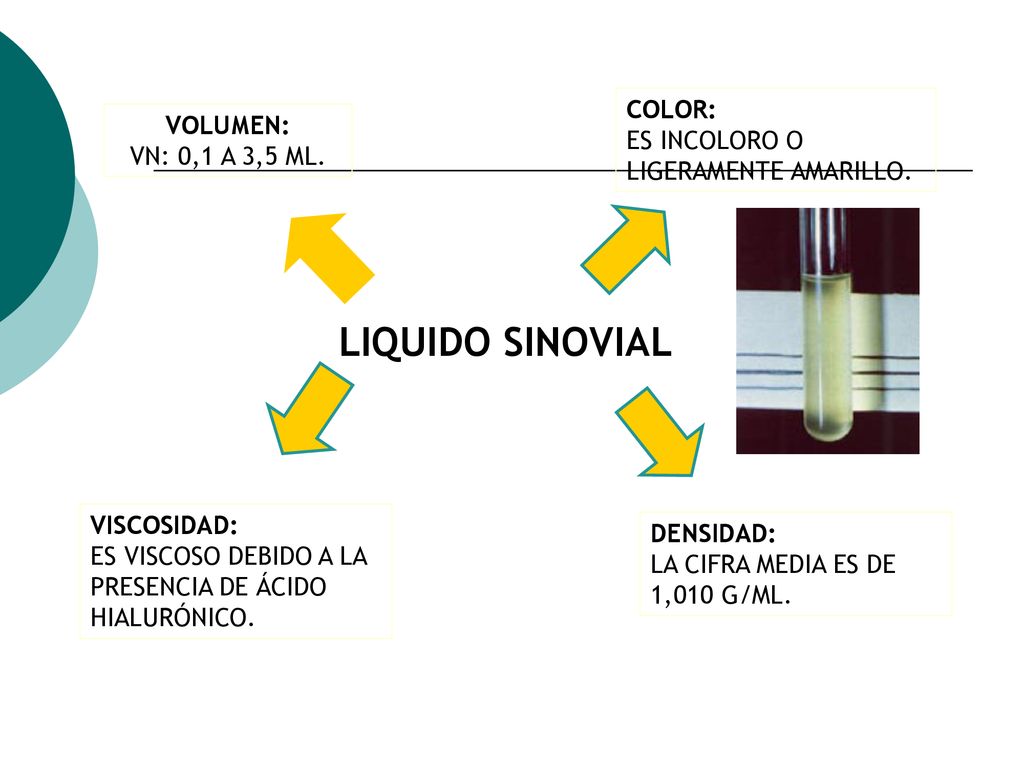 LIQUIDO SINOVIAL Color: Volumen: Es incoloro o ligeramente amarillo.