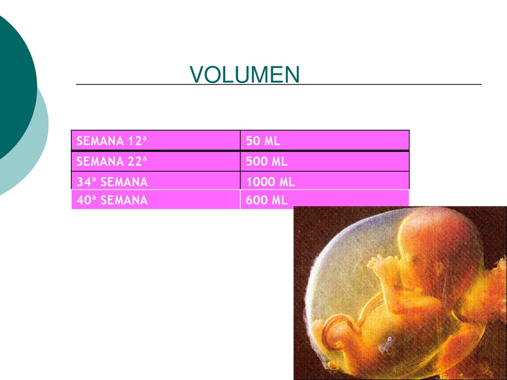 VOLUMEN SEMANA 12ª 50 ML SEMANA 22ª 500 ML 34ª SEMANA 1000 ML