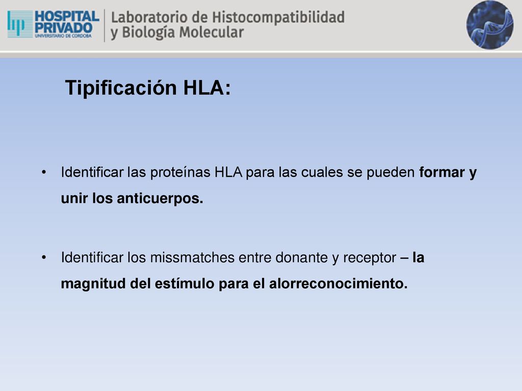 Tipificación HLA: Identificar las proteínas HLA para las cuales se pueden formar y unir los anticuerpos.