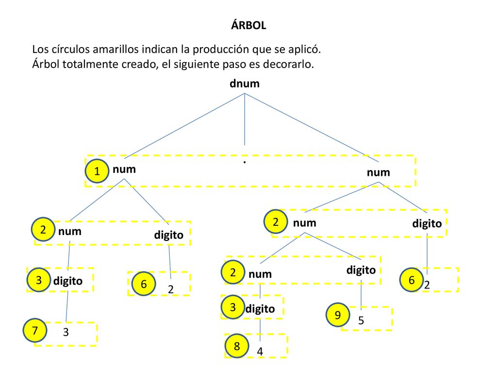 . ÁRBOL Los círculos amarillos indican la producción que se aplicó.