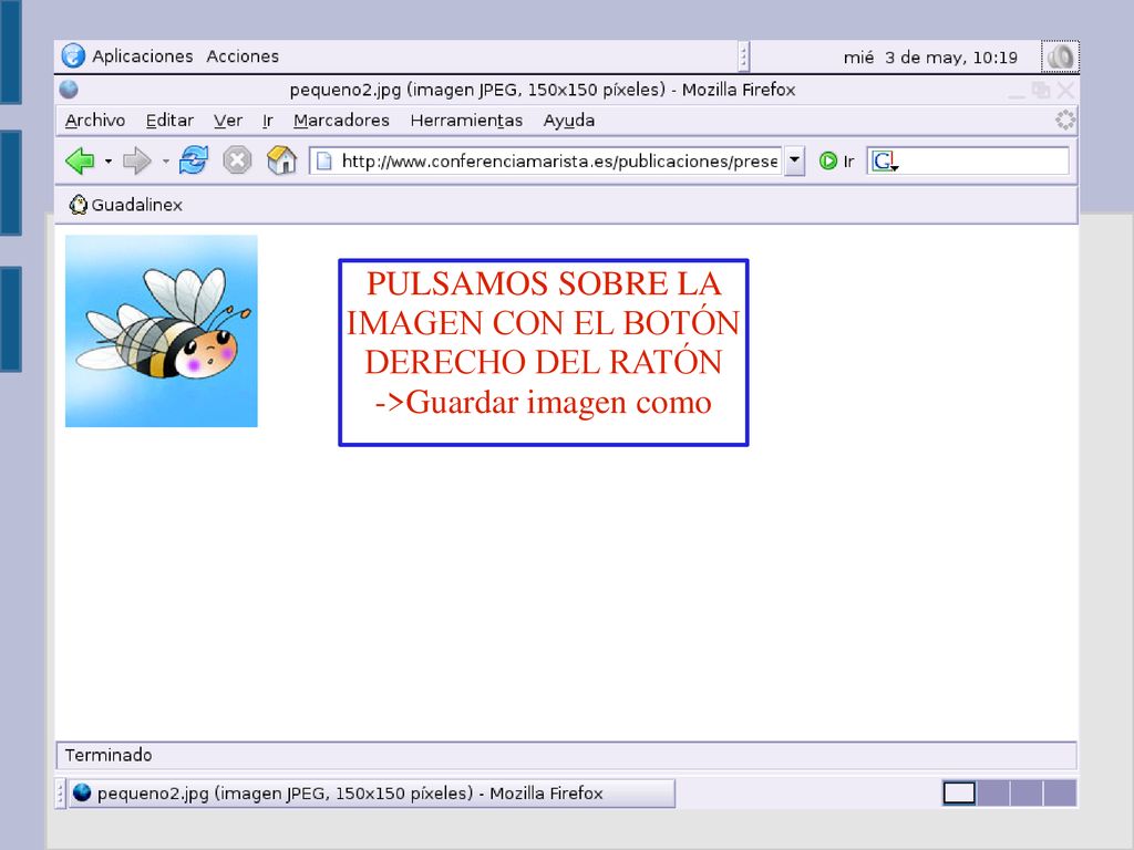 PULSAMOS SOBRE LA IMAGEN CON EL BOTÓN DERECHO DEL RATÓN