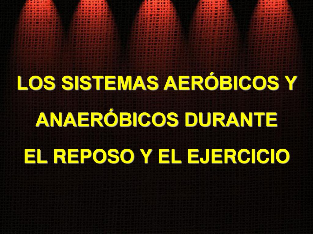 LOS SISTEMAS AERÓBICOS Y ANAERÓBICOS DURANTE EL REPOSO Y EL EJERCICIO