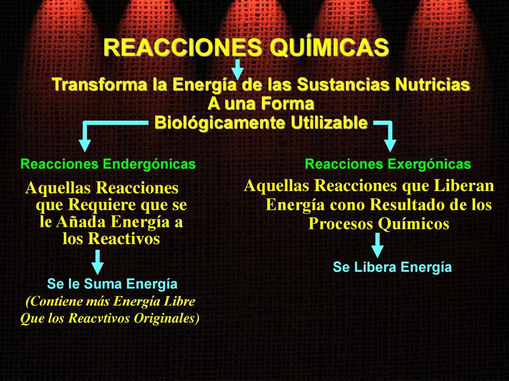 REACCIONES QUÍMICAS Transforma la Energía de las Sustancias Nutricias