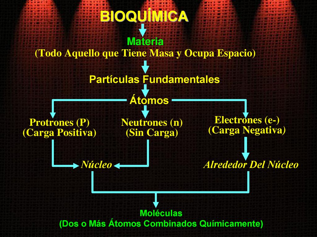 BIOQUÍMICA Materia (Todo Aquello que Tiene Masa y Ocupa Espacio)