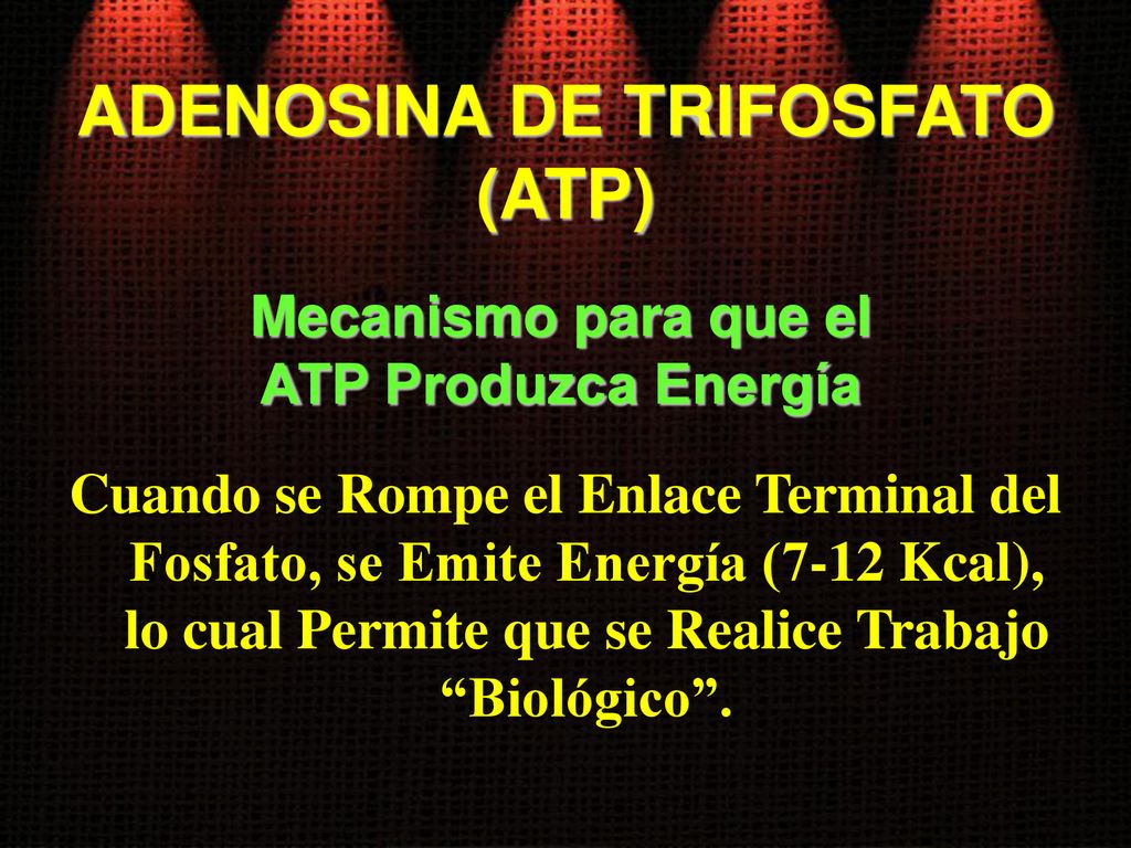 ADENOSINA DE TRIFOSFATO Mecanismo para que el ATP Produzca Energía